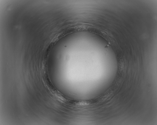 X0000060740759200511100911