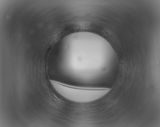 X0000060740760200511100911
