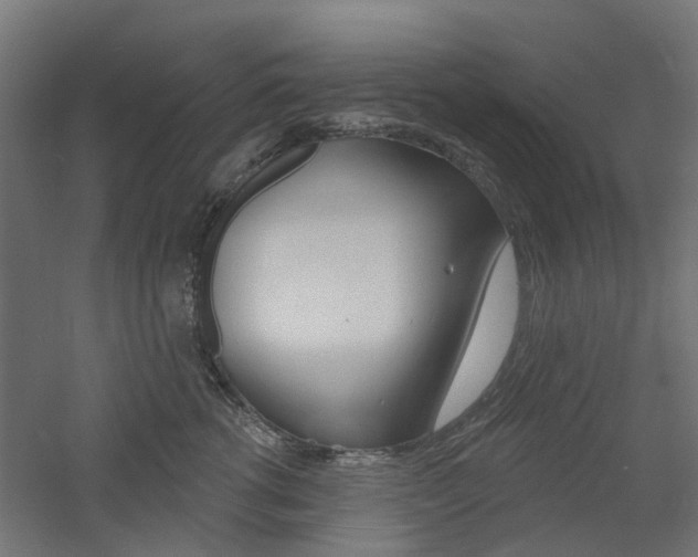 X0000060740762200511100911