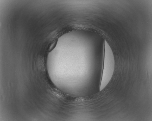 X0000060740764200511100911