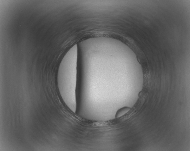 X0000060740765200511100911