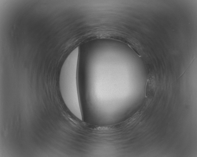 X0000060740766200511100911