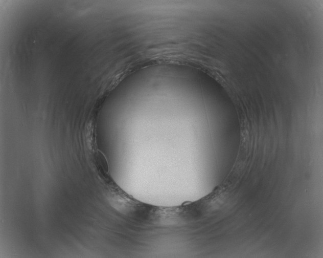 X0000060740767200511100911