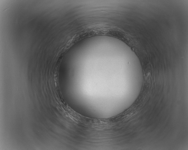 X0000060740772200511100911