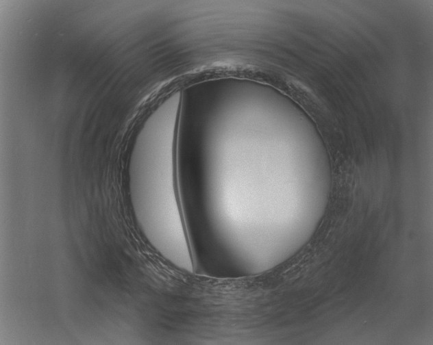 X0000060740776200511100911