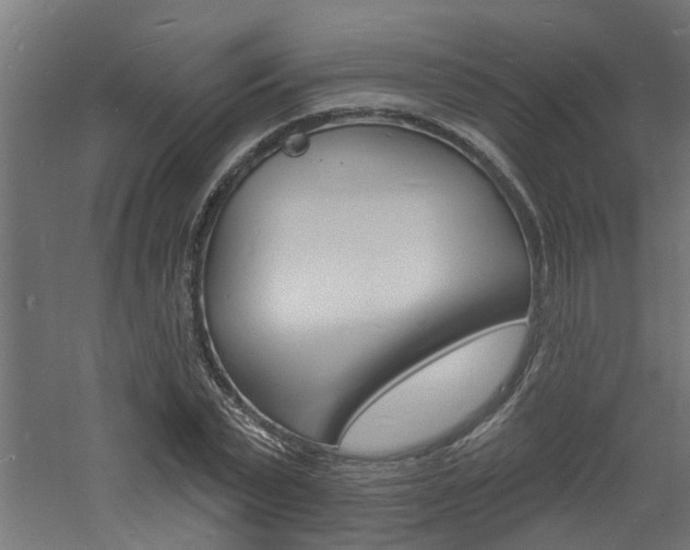 X0000060740783200511100910