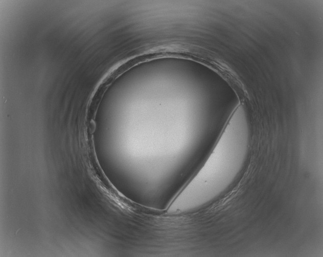 X0000060740784200511100910