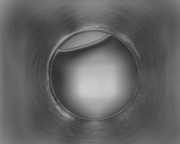 X0000060740792200511100910