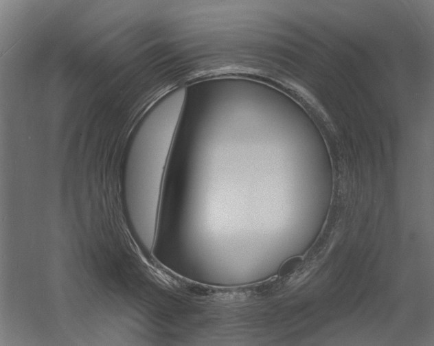 X0000060740793200511100910