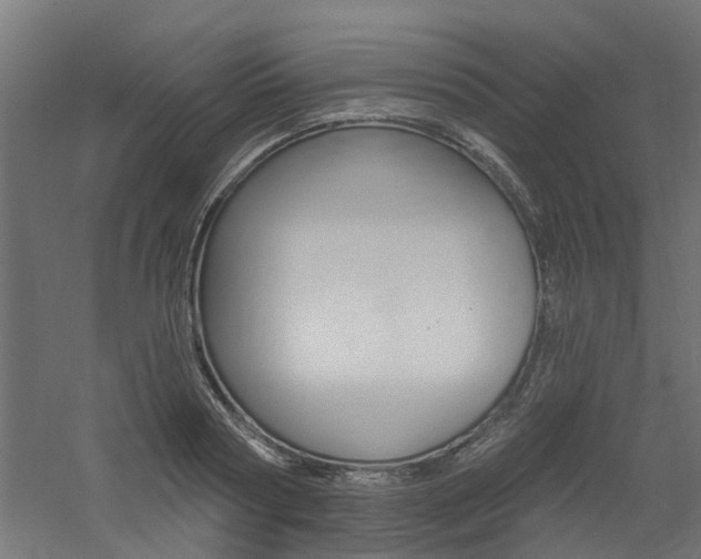 X0000060740794200511100910