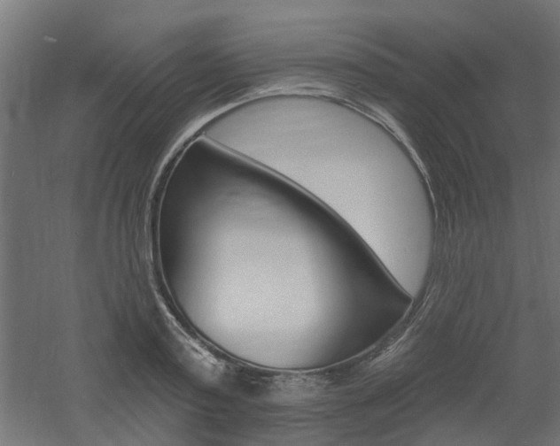 X0000060740795200511100910