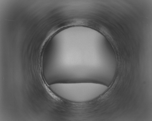X0000060740800200511100910