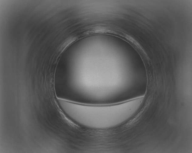 X0000060740801200511100910