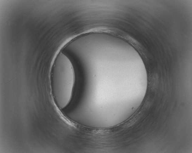 X0000060740808200511100910