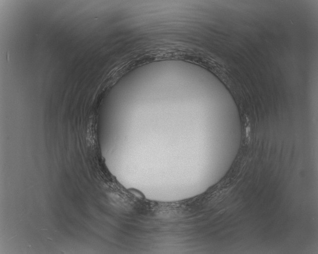 X0000060740819200511100909