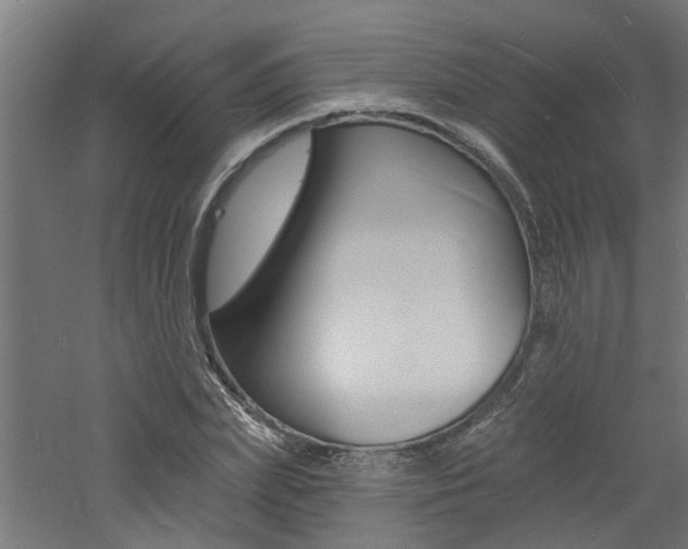X0000060740831200511100909