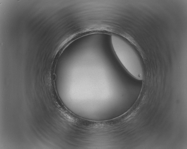 X0000060740834200511100909