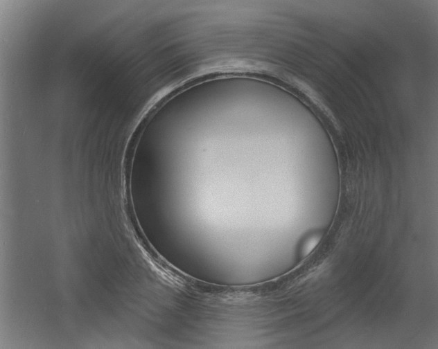 X0000060740837200511100909
