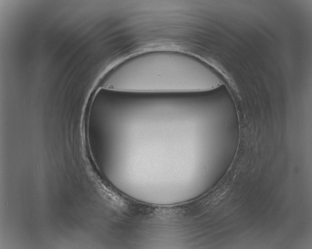 X0000060740840200511100909
