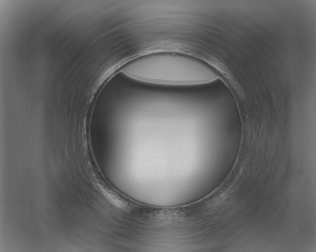 X0000060740842200511100909