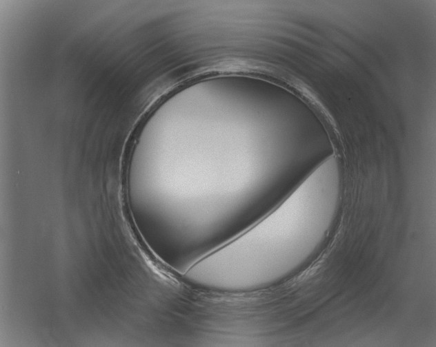 X0000060740845200511100909