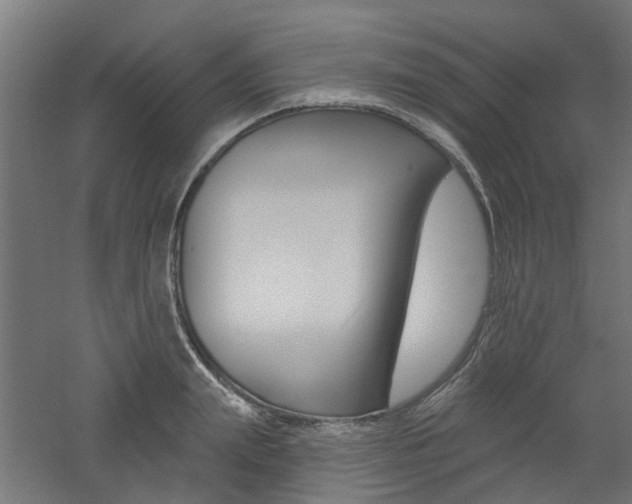 X0000060740847200511100909