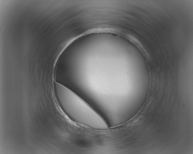 X0000060740852200511100910