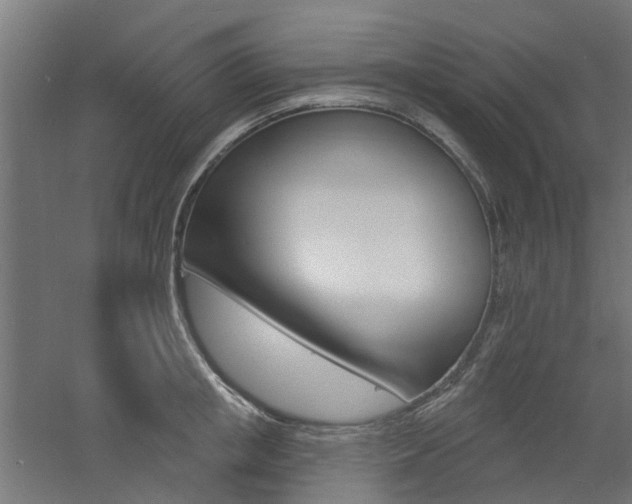 X0000060740853200511100910