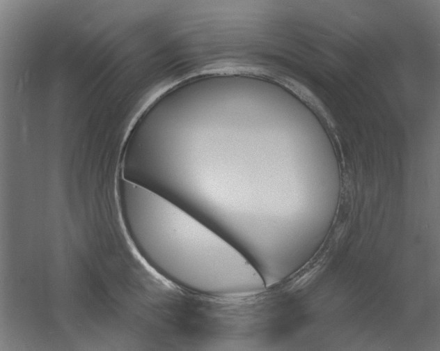 X0000060740855200511100910