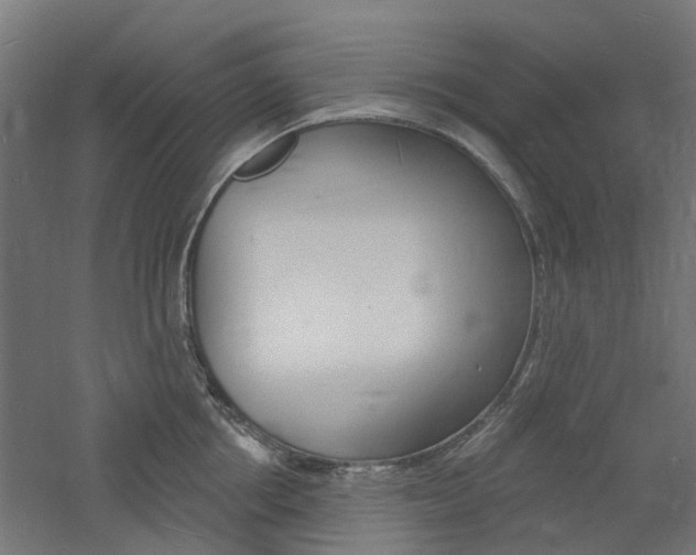 X0000060740858200511100910