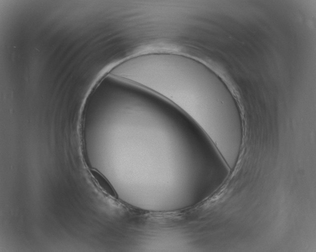 X0000060740864200511100910