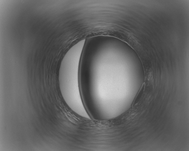 X0000060740868200511100909