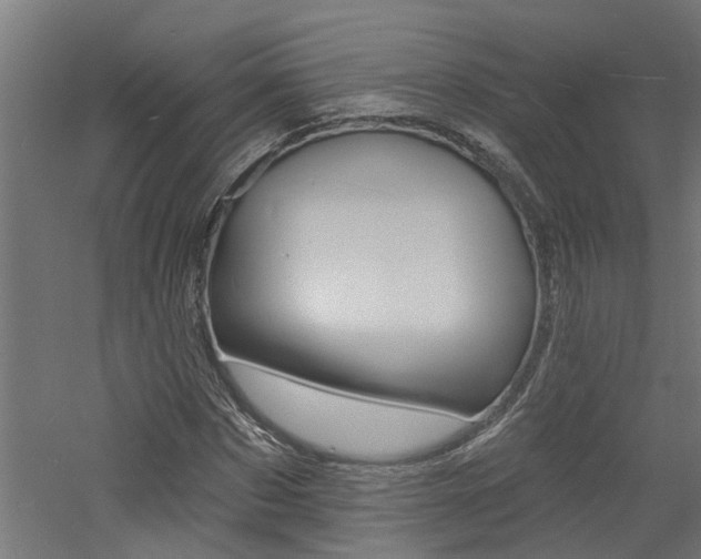 X0000060740873200511100909