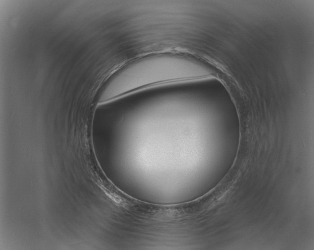 X0000060740881200511100909