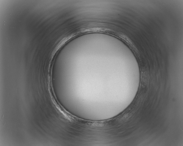 X0000060740890200511100908