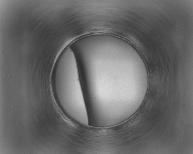 X0000060740891200511100908
