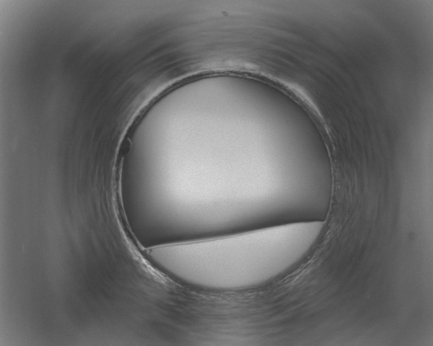 X0000060740895200511100908
