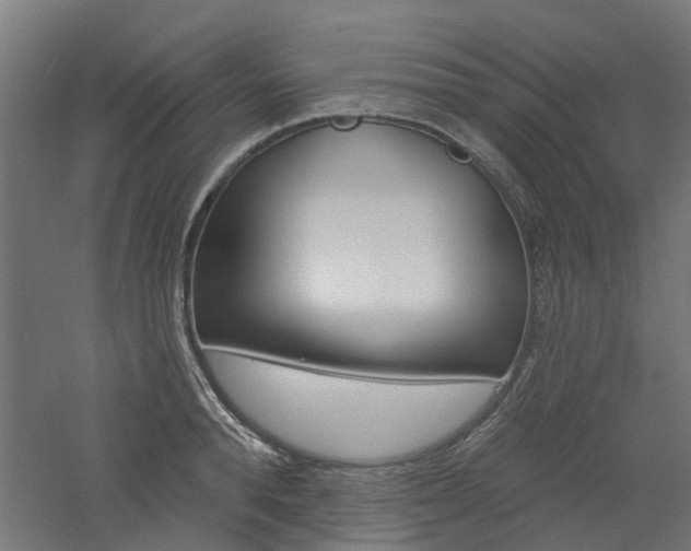 X0000060740896200511100908
