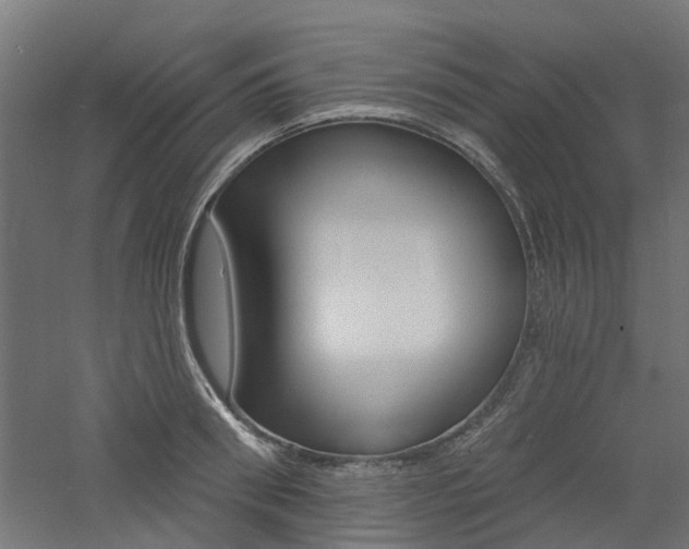 X0000060740898200511100908