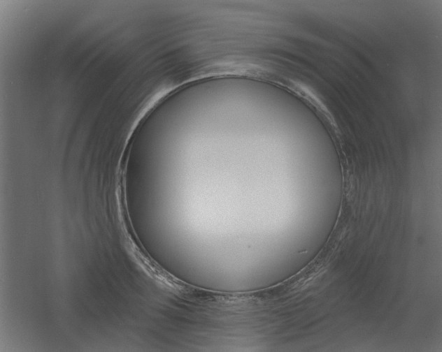 X0000060740899200511100908