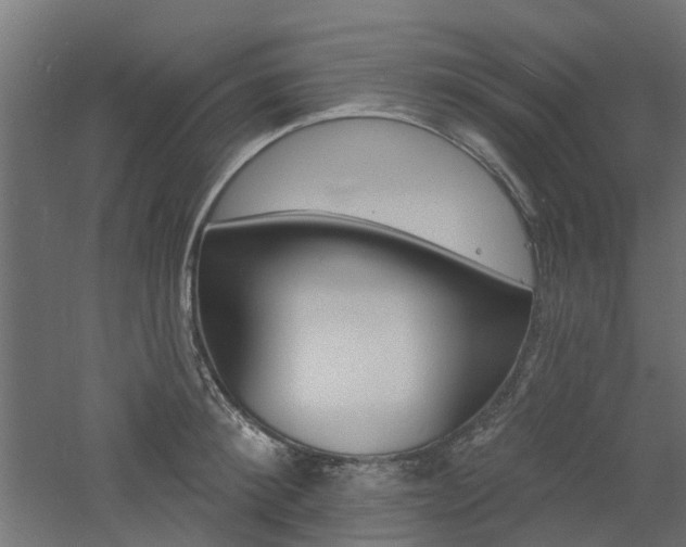 X0000060740900200511100908