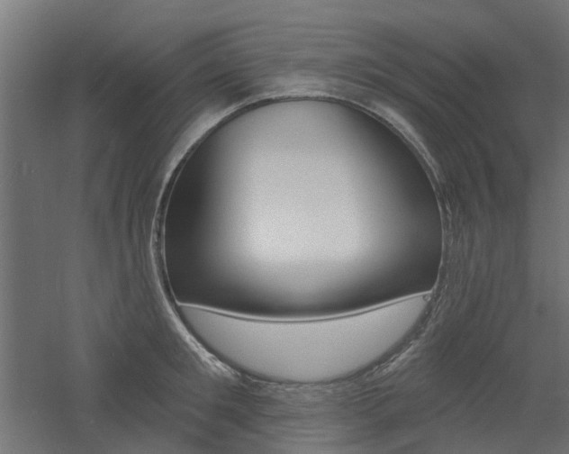 X0000060740901200511100908