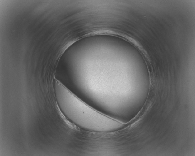 X0000060740905200511100908