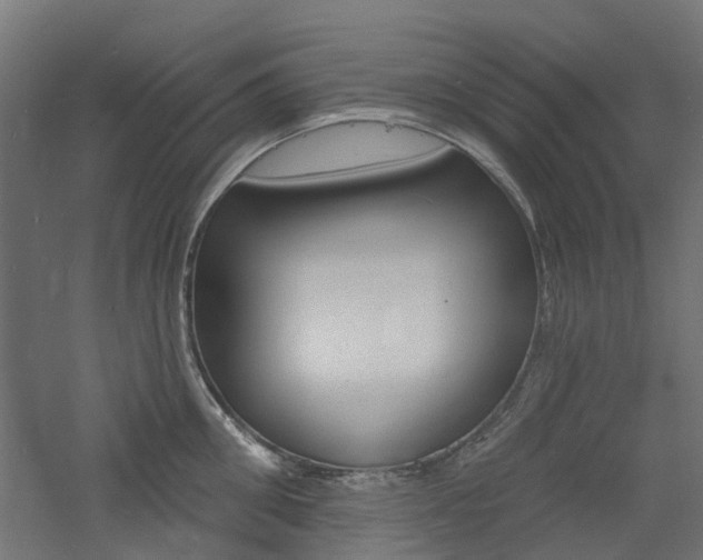 X0000060740906200511100908