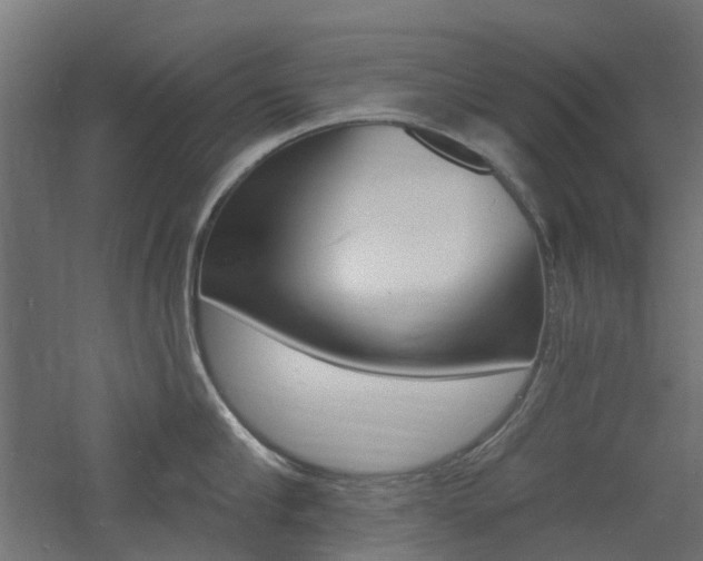 X0000060740910200511100908