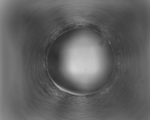 X0000060740916200511100907