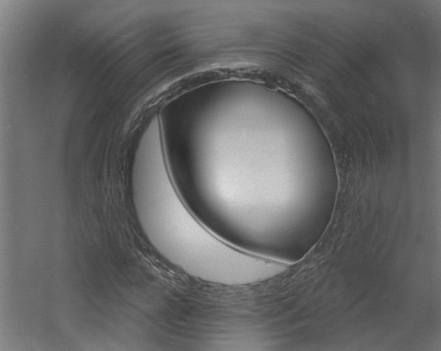 X0000060740920200511100907