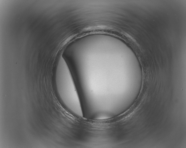 X0000060740921200511100907