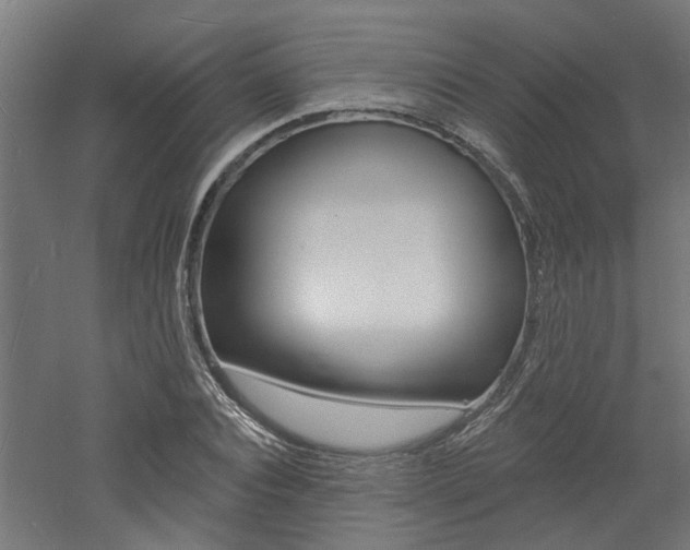 X0000060740928200511100907
