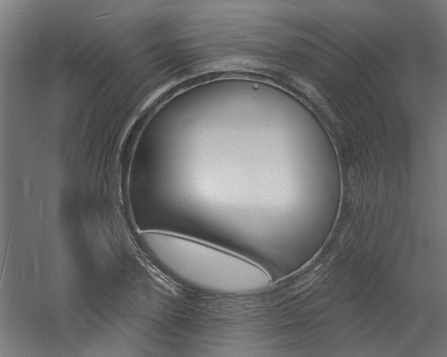 X0000060740931200511100908